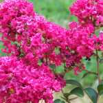 before-the-storm-hannah-046