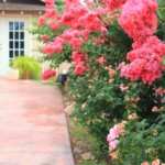 d1440d4119a7bab5f743bbb95f359993