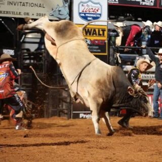 D&H Cattle Company